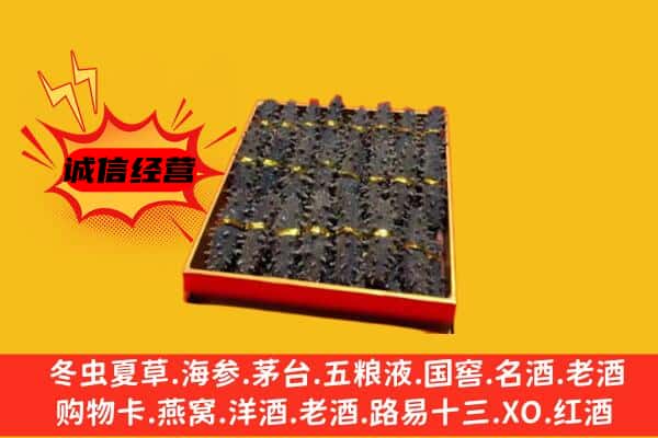 肃北县回收海参